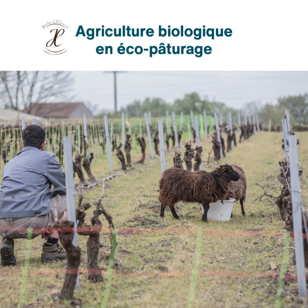 Salon des vins