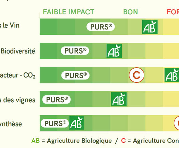 Tableau-récap-PURS